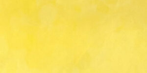 Canary